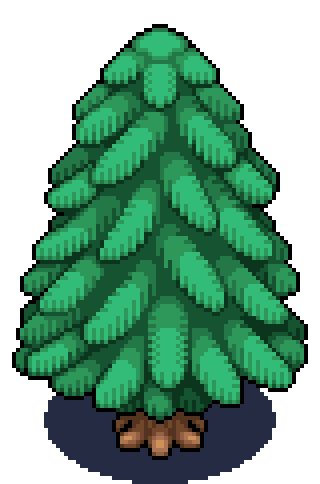 A fir tree in spring